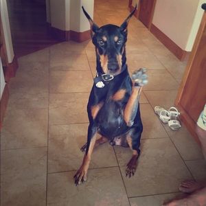 I I am open to offers but please make them fair.